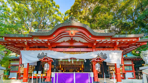 🎍初詣におすすめ!