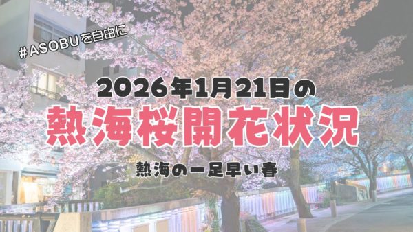 🌸1/21 最新|熱海桜 開花状況レポート